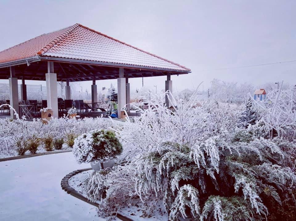 Hotel Lokietek Czajowice المظهر الخارجي الصورة